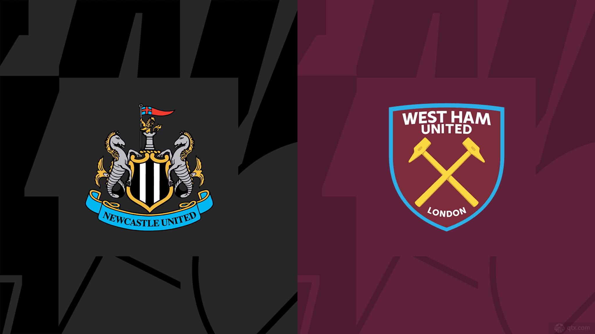 的具体情况 的具体情况